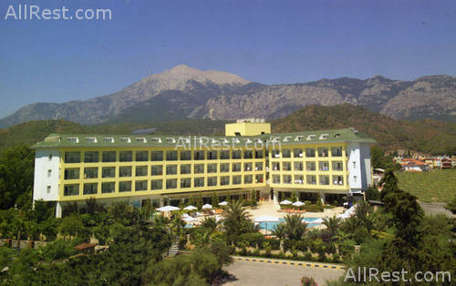 Pine House Hotel 